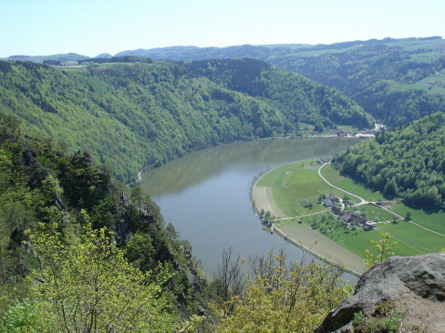 Donau - Schlögener Schlinge! Das rechte Ufer liegt in der Gemeinde Haibach ob der Donau und deren Ortsteil Schlögen, dem der Schlinge den Namen verleiht.