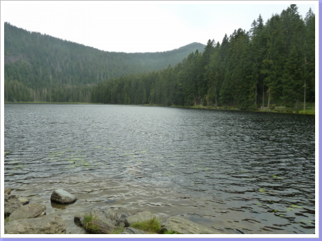 Großer Arbersee