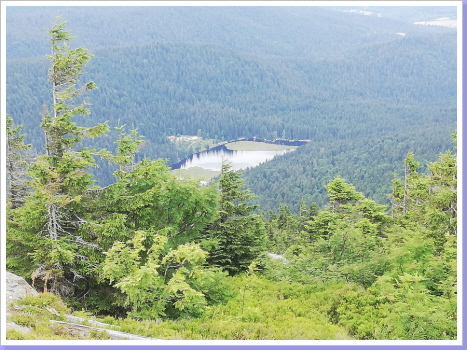 Blick auf den kleinen Arbersee